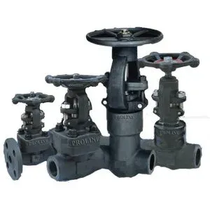forged valves